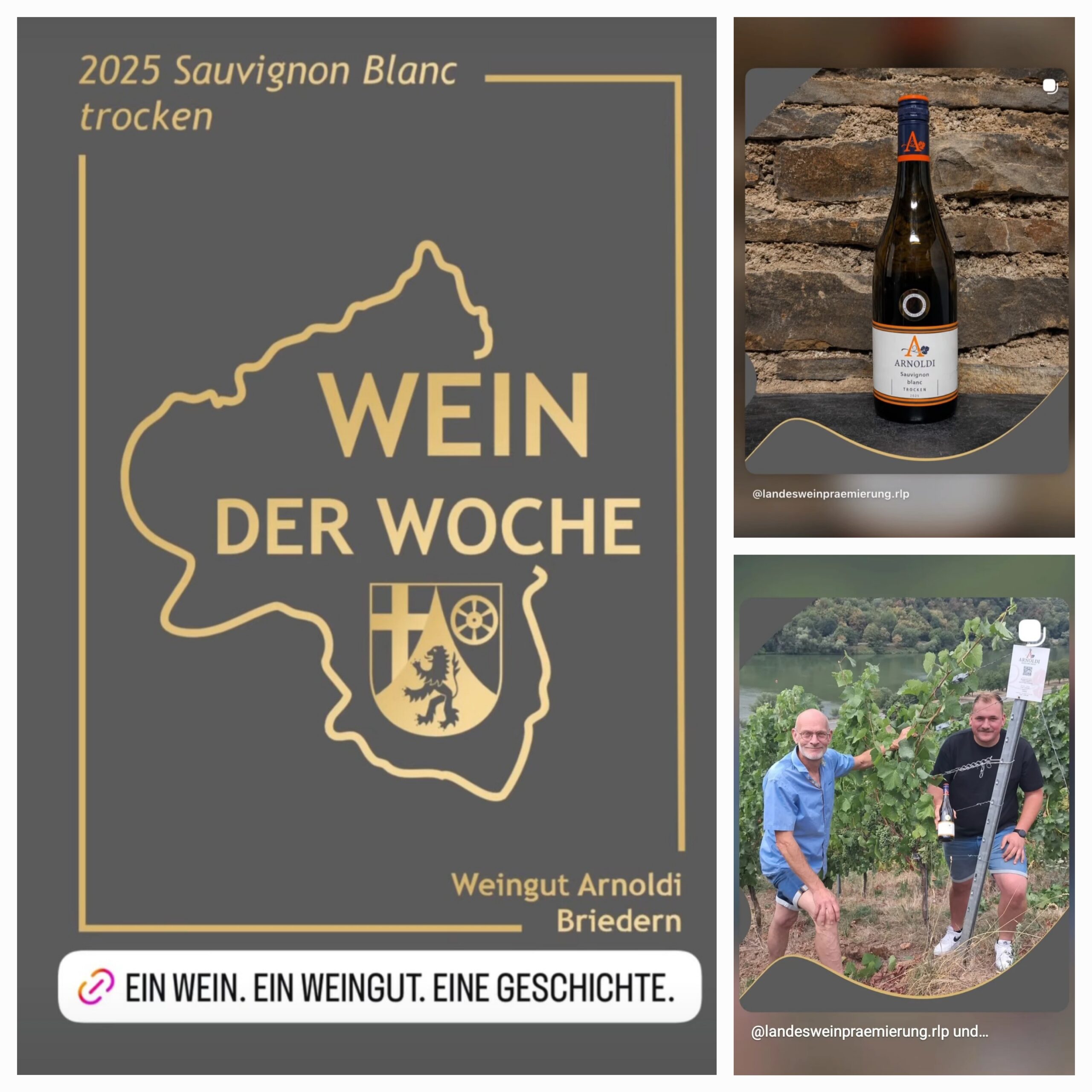 2025 Sauvignon Blanc trocken – Wein der Woche –